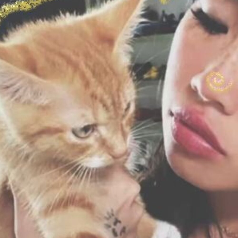 Meet your Posher, Marshie